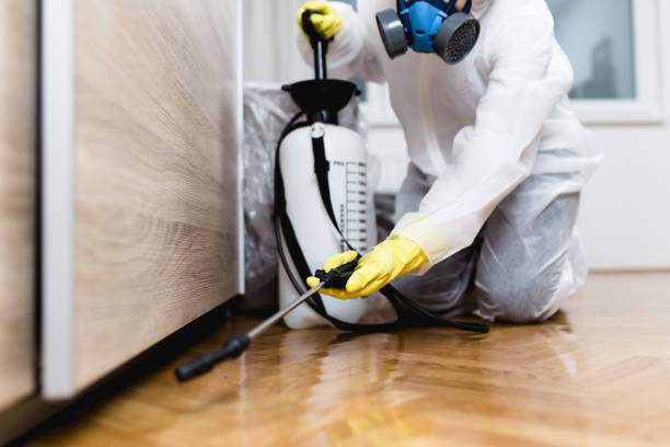 Flea Control Services in Decatur, TX