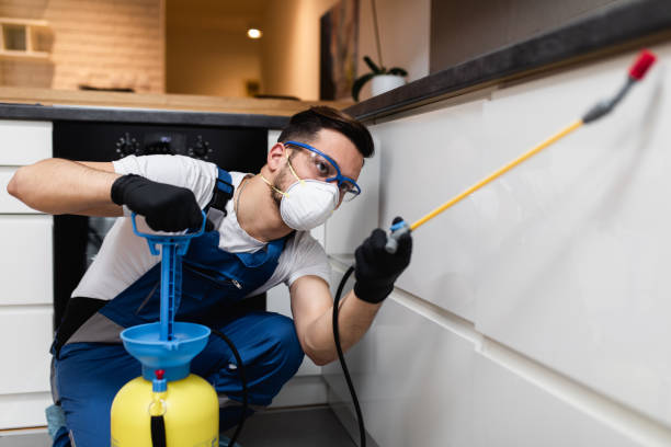 Best Residential Pest Control  in Decatur, TX