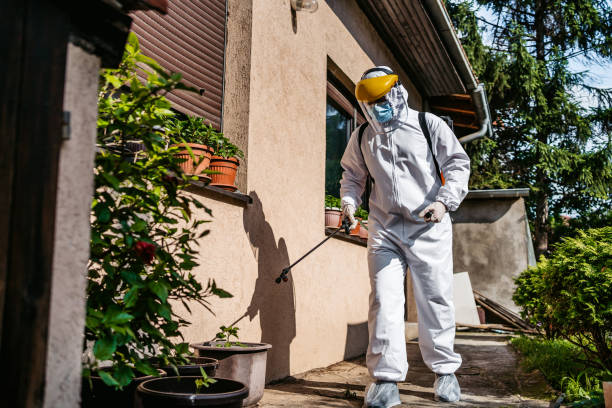 Best Mosquito Control Services  in Decatur, TX