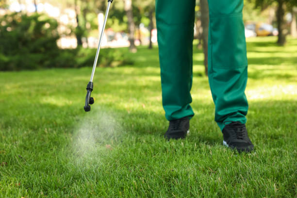 Best Best Pest Control Companies  in Decatur, TX