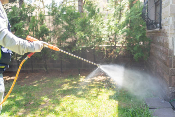 Best Exterminator Services  in Decatur, TX