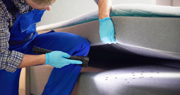 Reliable Decatur, TX Pest Control Solutions