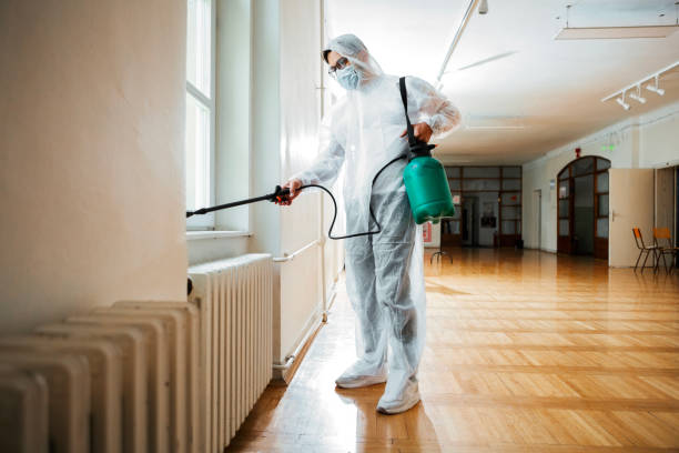 Best Bed Bug Extermination  in Decatur, TX