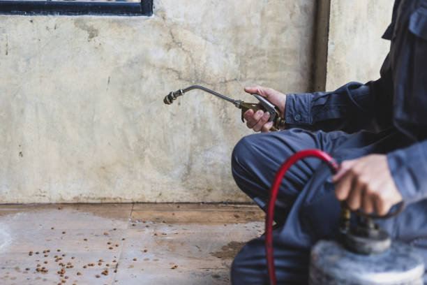 Best Affordable Pest Control Services  in Decatur, TX